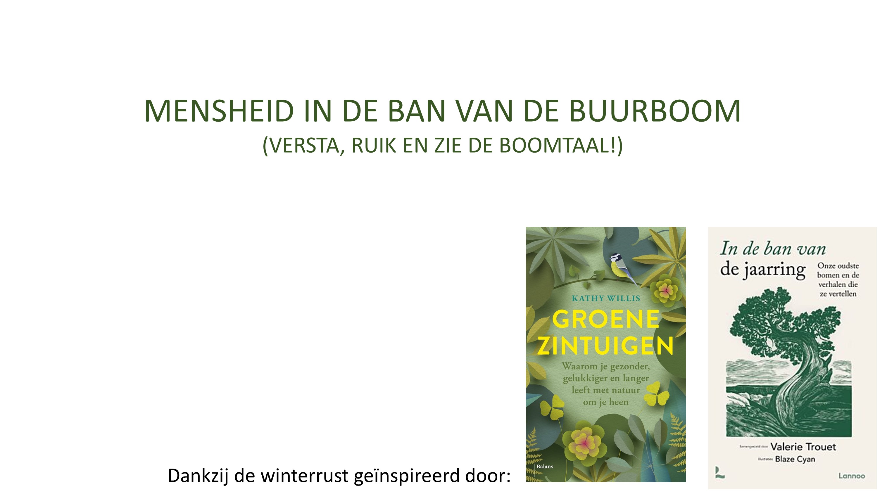 STICHTING DE AMERKANTOP logo